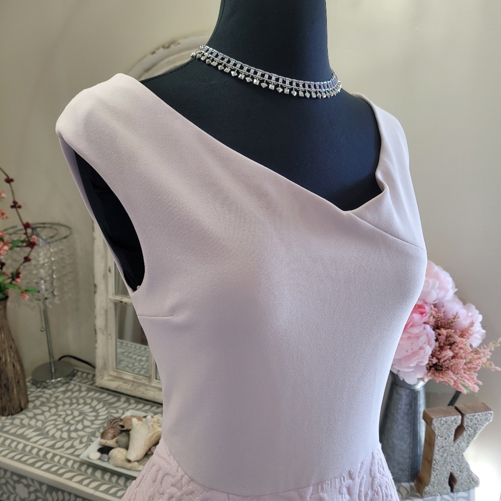 🍒NWOT🍒 TED BAKER PINK FIT AND FLARE DRESS - Picture 4 of 5
